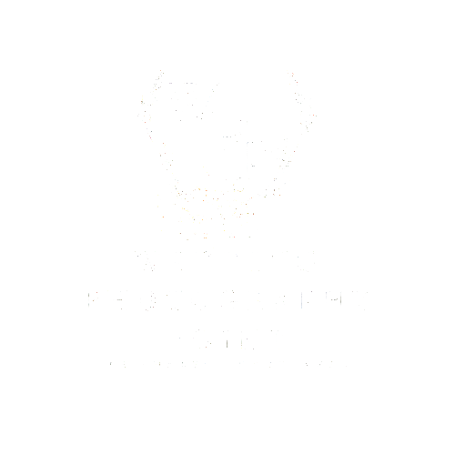 my tranparent logo white